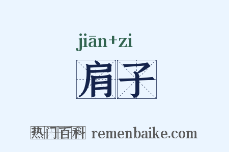 肩子是什么意思的图片